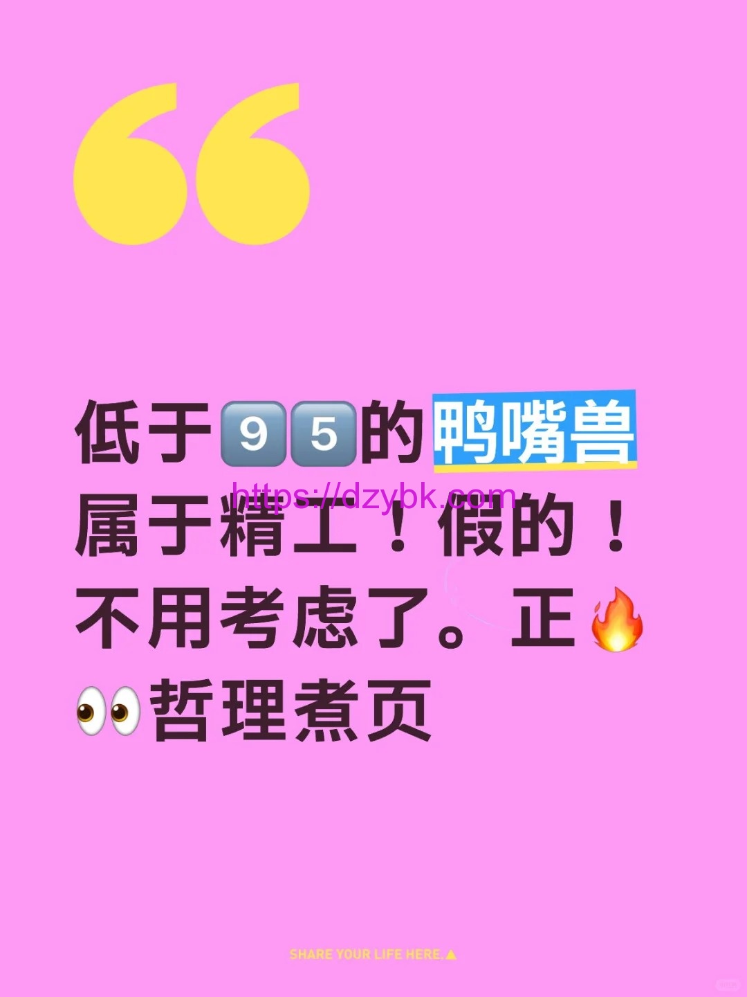 snowplus鸭嘴兽价格真假乱象问题，多少钱才是合理的？